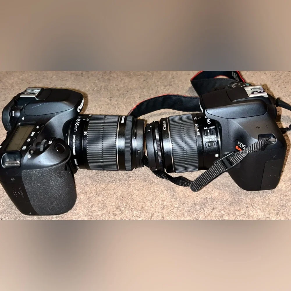 canon cameras(rebel T7 and 80D) and 5 lenses. Used- well used